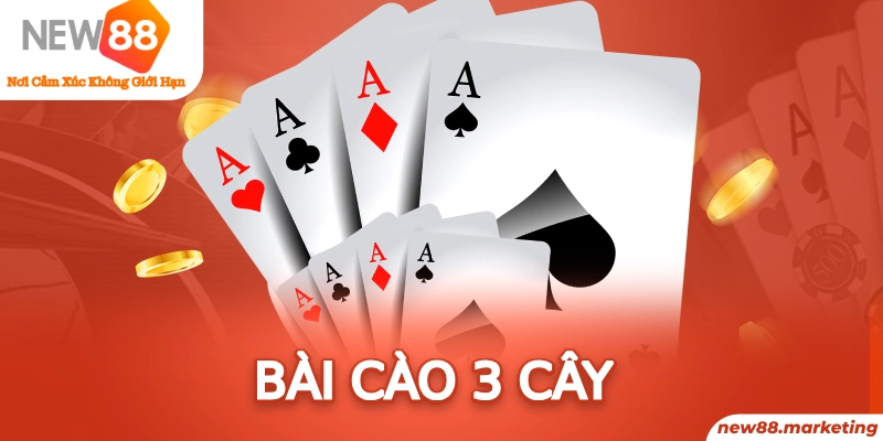 8kbet456 long bảo trong baccarat là gì