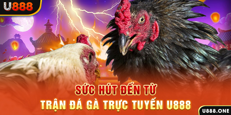8kbet456 đá gà trực tiếp c1