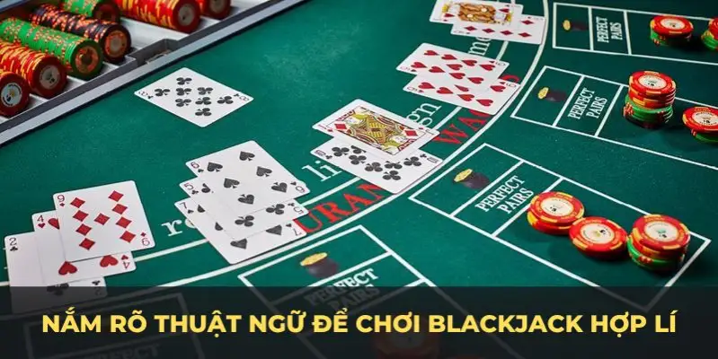 8kbet456 c1 gà chọi