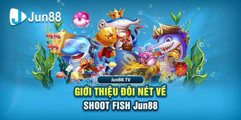 8kbet456 đá gà