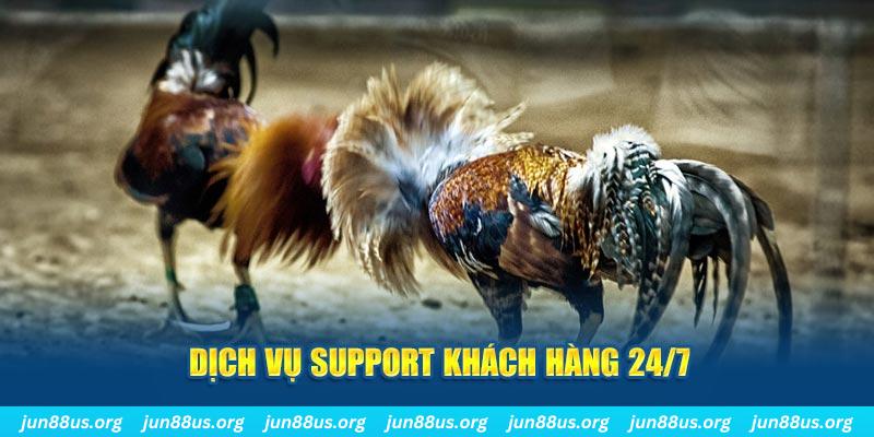 8kbet456 ÁT CHỦ BÀI GIÀNH LẤY ZHUANG NIUNIU ( XEM 4 LÁ )