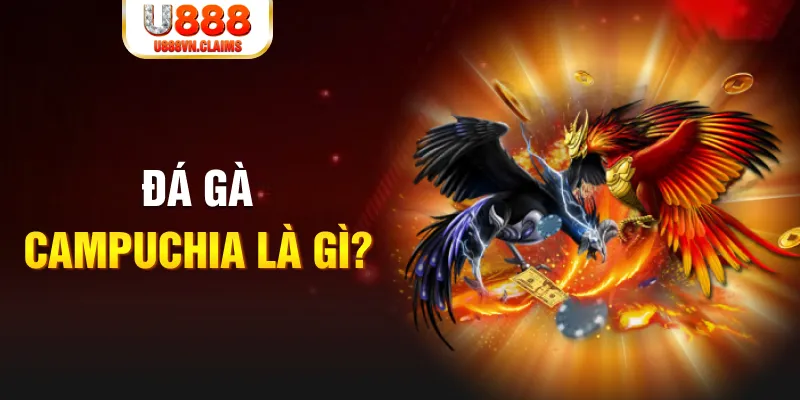 8kbet456 bắn cá vàng h5