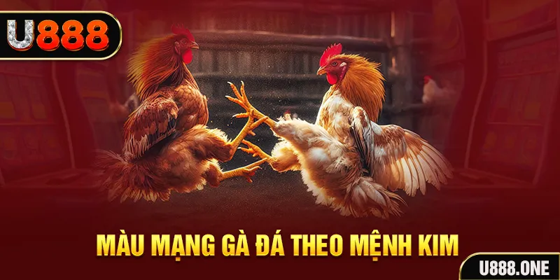 8kbet456 Cỡ bảy