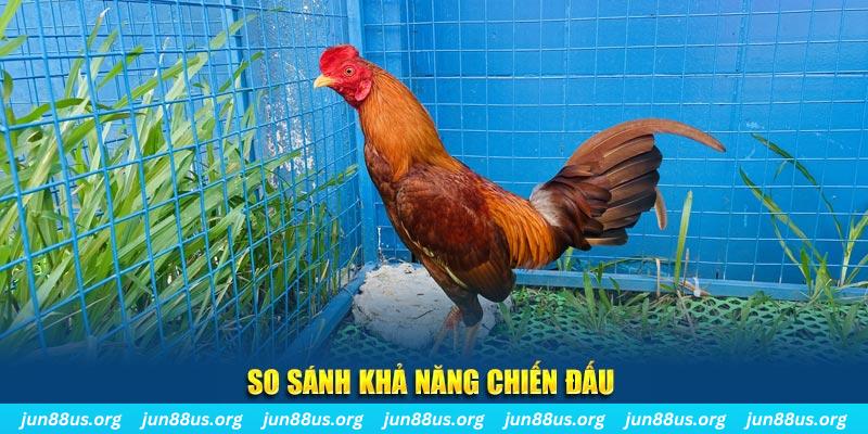 8kbet456 CQ9 Điện Tử