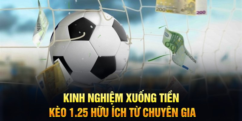 8kbet456 TCG Xổ Số