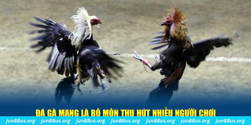 8kbet456 bắn cá au88