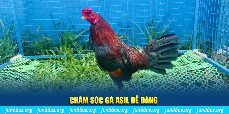 8kbet456 game bài là gì