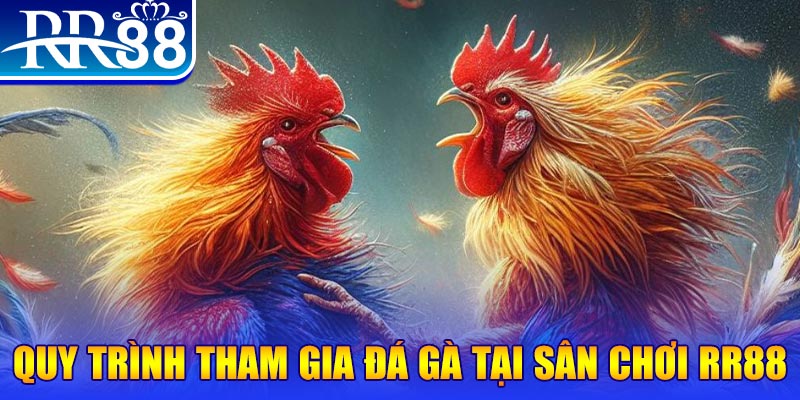8kbet456 đá gà cam 67