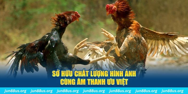 8kbet456 PP Điện Tử