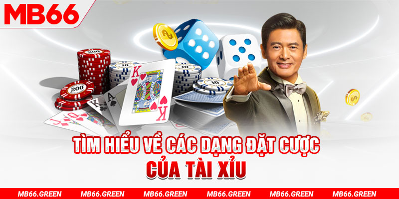 8kbet456 what is a virtual casino