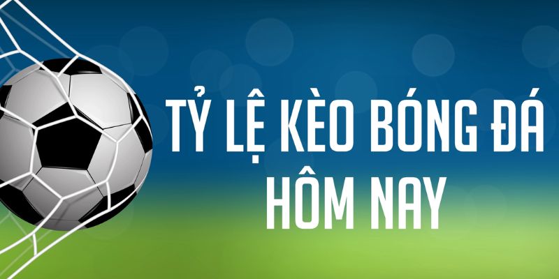 8kbet456 gà chọi c1 mới nhất