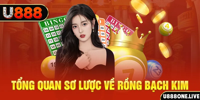 8kbet456 hũ 8 bit nổ như thế nào