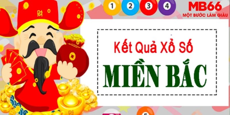 8kbet456 chọi gà
