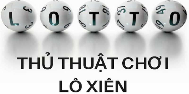 8kbet456 trực tiếp đá gà thomo