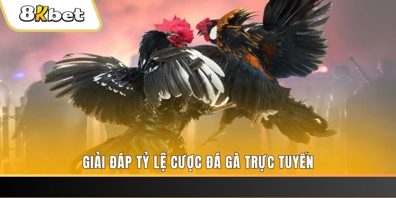 8kbet456 xổ số đài miền trung