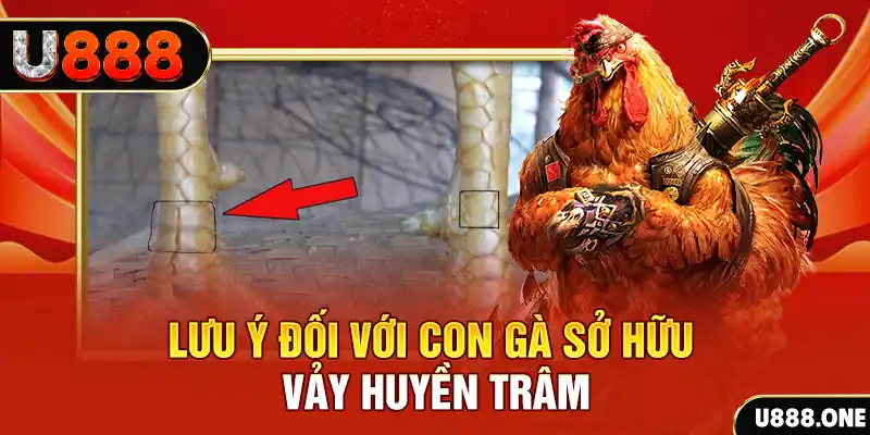 8kbet456 kết quả xổ số miền nam hôm nay