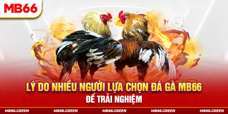 8kbet456 xổ số miền bắc thứ bảy hàng tuần