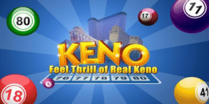 8kbet456 gà chọi c1 thomo