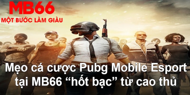 8kbet456 VA Bắn cá