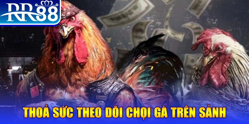 8kbet456 Bài Poker Joker