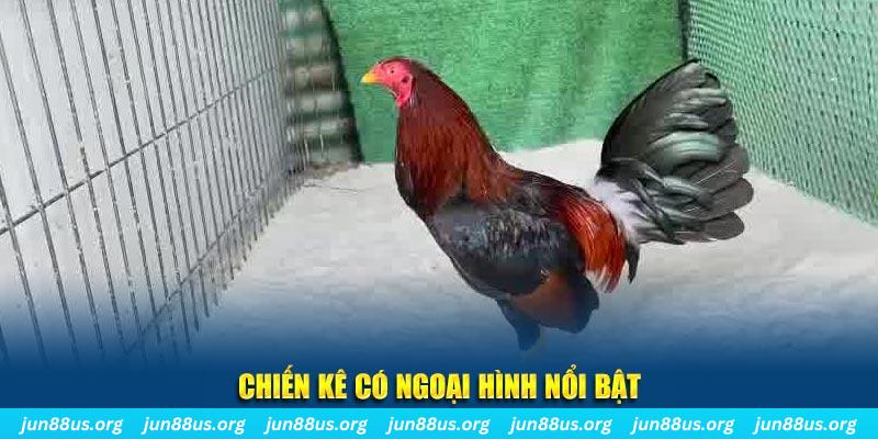8kbet456 game nổ hũ là gì