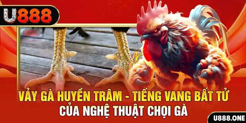 8kbet456 xổ số miền bắc ngày hôm nay
