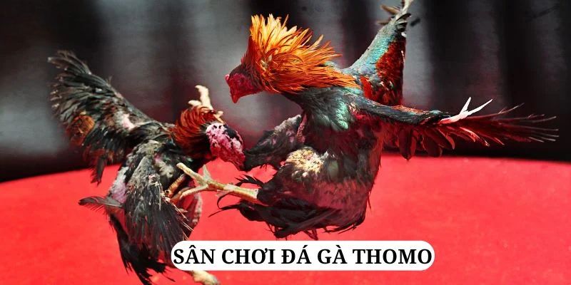 8kbet456 trực tiếp xổ số miền bắc