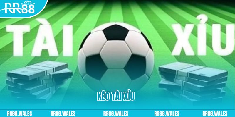 8kbet456 casino gồm những gì